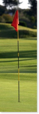 Monosodium methanearsonic acid MSMA golf