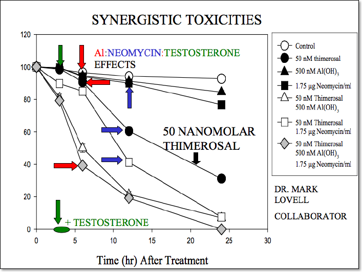 Synergistic toxicity of thimerosal aluminum neomycin testosterone