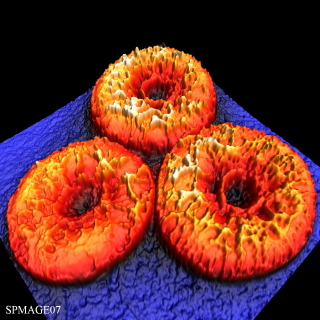 MAC membrane attack complex antibiotics similar mechanism