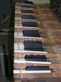 Keyleads 1875 Steinway long view