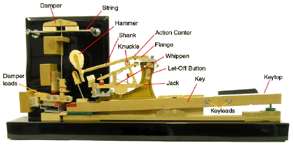Piano action highlights location of lead