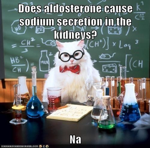 Aldosterone