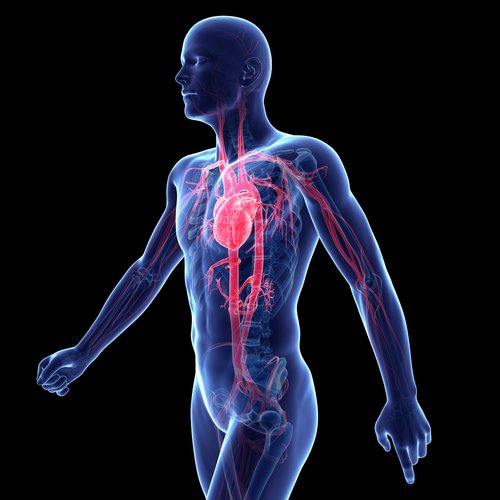 Everything You Need to Know About GSK3Beta Inhibition
