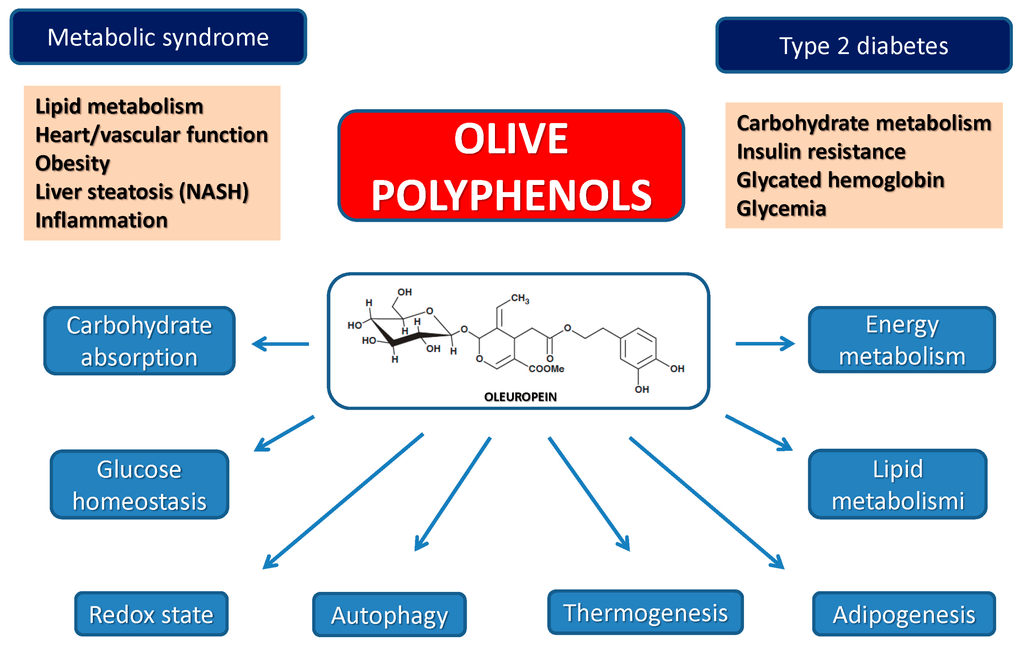 Olive Phenols