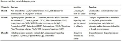 detox-enzymes
