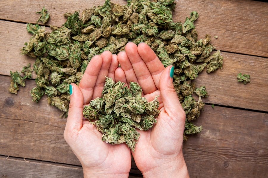 Marijuana