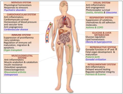 https://www.ncbi.nlm.nih.gov/pmc/articles/PMC3951203/