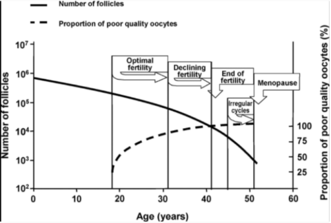 amh Image credit: https://www.ncbi.nlm.nih.gov/pubmed/19589949