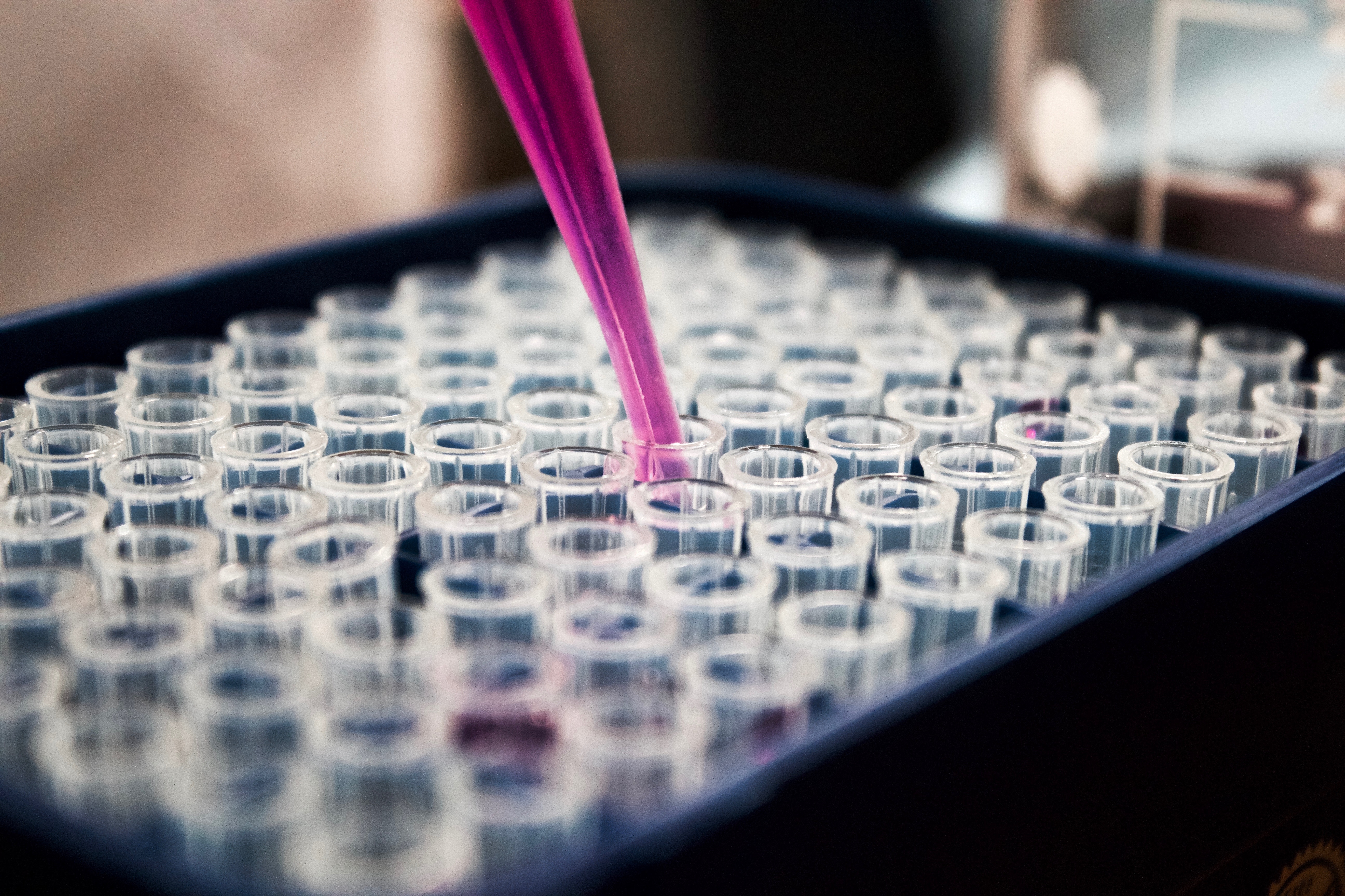 lab tests