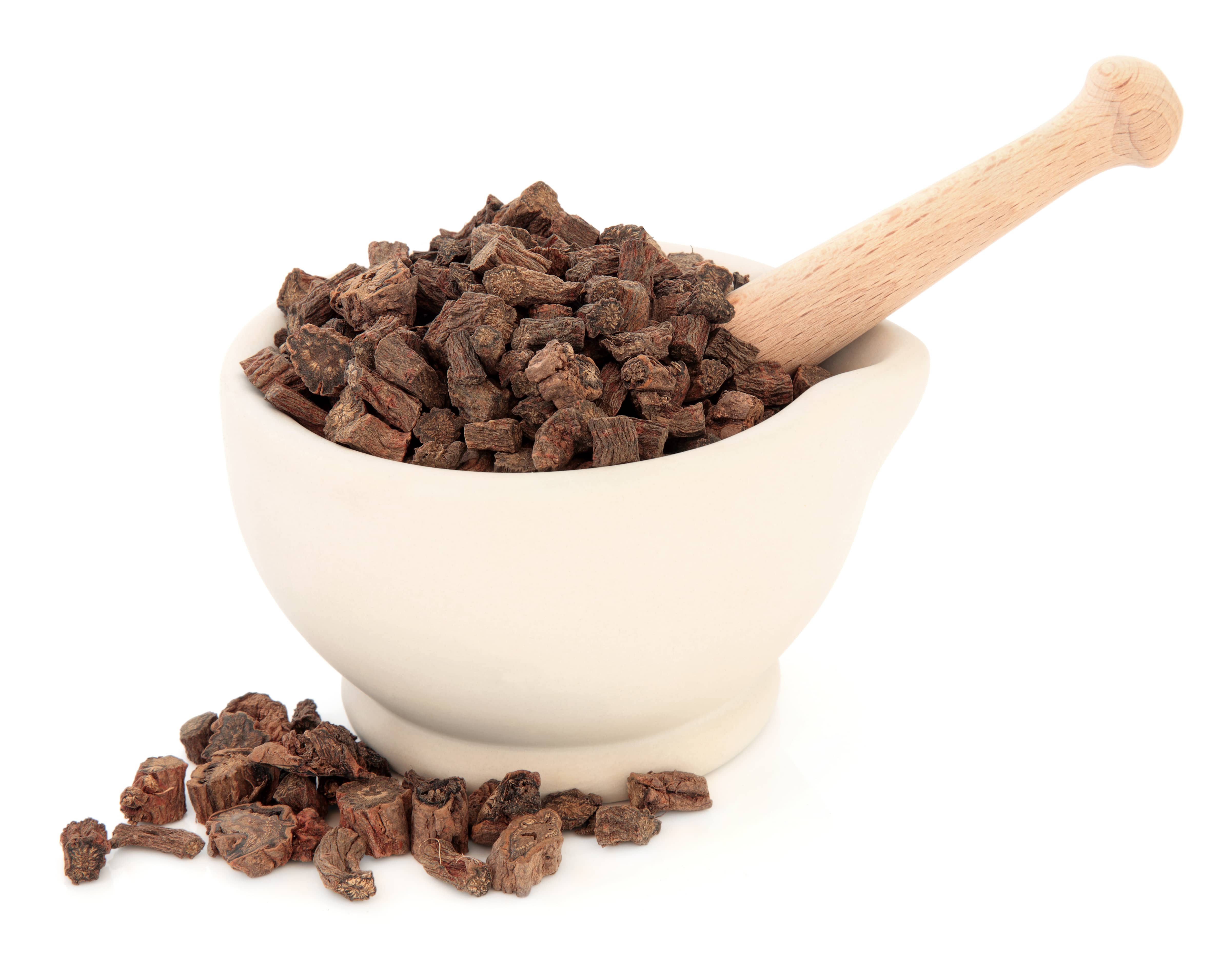 salvia miltiorrhiza root