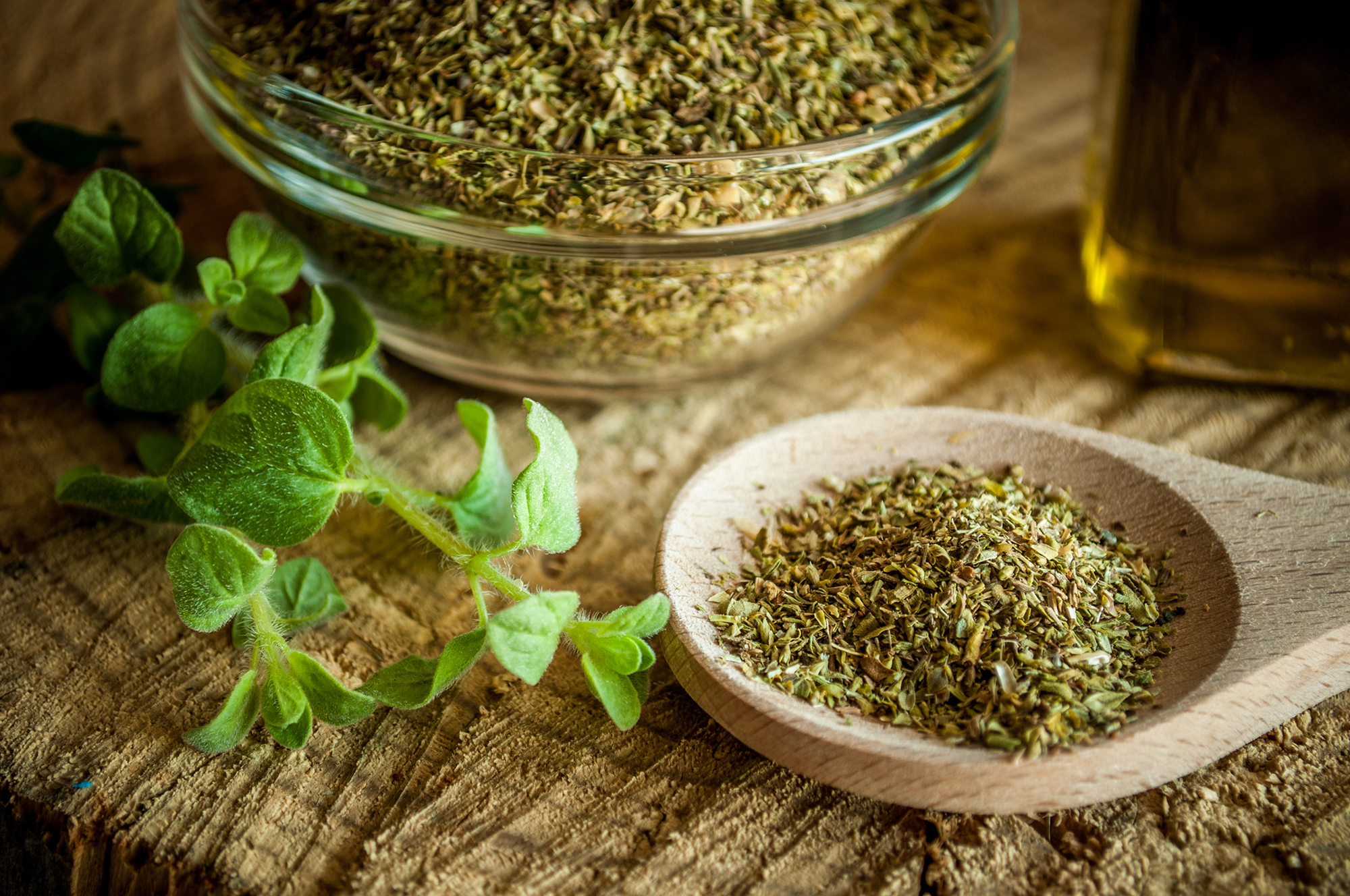 Oregano and Coronavirus